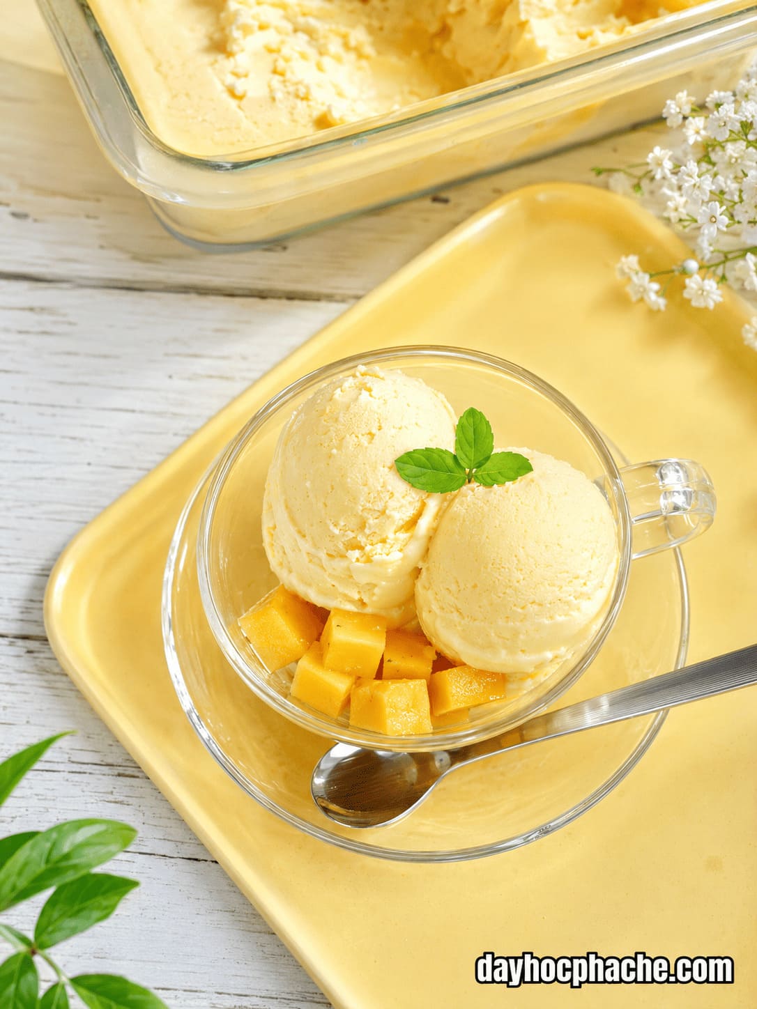 Khóa Học Làm Kem Gelato/ Kem Cứng